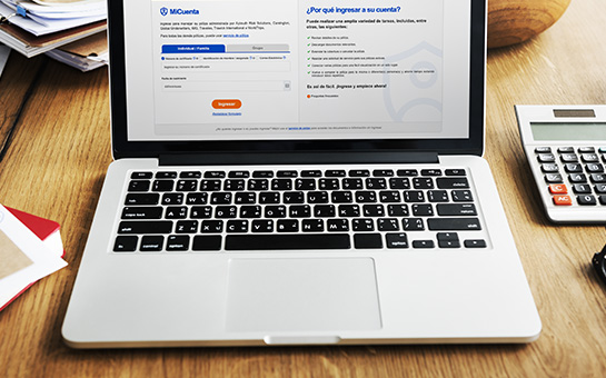 Insubuy – MiCuenta – Preguntas frecuentes